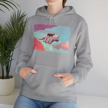 Load image into Gallery viewer, Flying Appa in Clouds Hoodie Sweater (Unisex)
