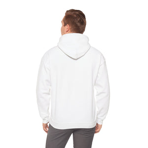 Flying Appa in Clouds Hoodie Sweater (Unisex)