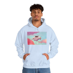 Flying Appa in Clouds Hoodie Sweater (Unisex)