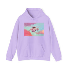 Load image into Gallery viewer, Flying Appa in Clouds Hoodie Sweater (Unisex)
