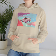 Load image into Gallery viewer, Flying Appa in Clouds Hoodie Sweater (Unisex)
