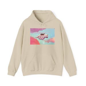 Flying Appa in Clouds Hoodie Sweater (Unisex)